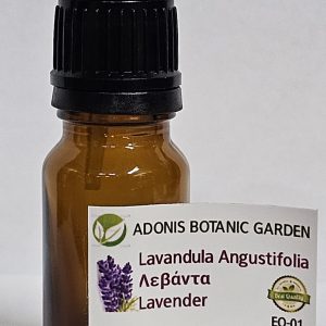Lavender Essential Oil