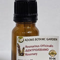 Rosemary Oil