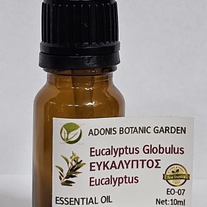 Eucalyptus
